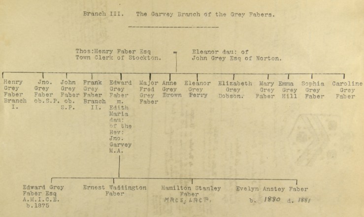 branch-three-garvey-grey-fabers